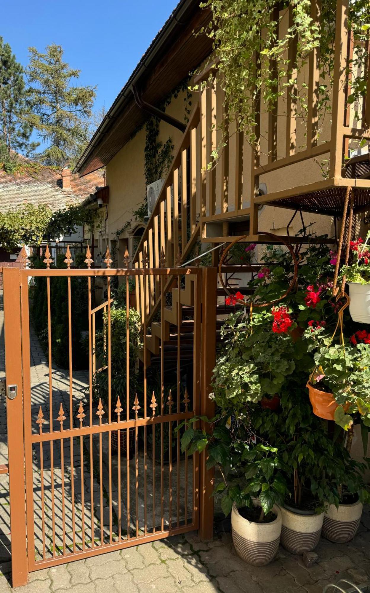 Studio Rezistenta Fagaras Exterior photo